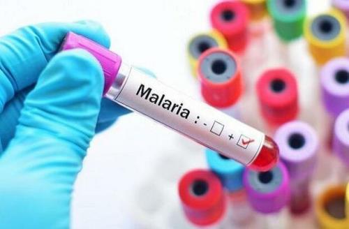 داروهای ضد مالاریا در مبارزه با بیماری ریوی موثرند