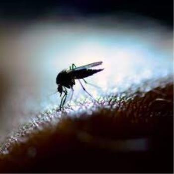 اخطار جهانی نسبت به شیوع انفجاری ویروس زیکا