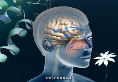 بازگشت حس بویایی اکثر بیماران کرونایی در مدت 2 سال