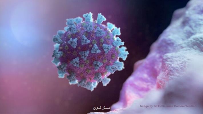 ردیابی سویه جدید کرونا توسط مرکز کنترل و جلوگیری از بیماری های آمریکا