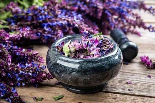 گیاهی اعجاب انگیز برای سلامت، زیبایی و تناسب اندام