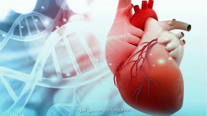 قلب ممکنست سریع تر از سن تقویمی پیر شود