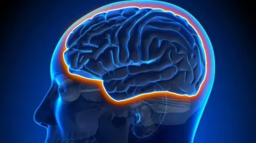 ورزش چه طور از مغز در مقابل آلزایمر محافظت می کند