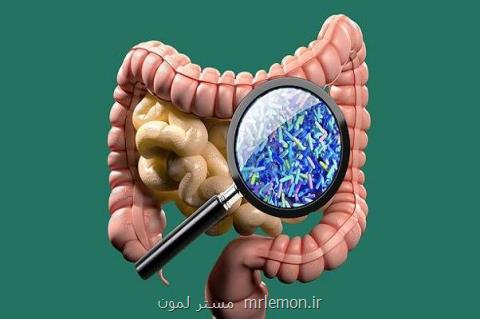 شناسایی ۶۰۰۰ ژن مقاوم به آنتی بیوتیك در باكتری های روده