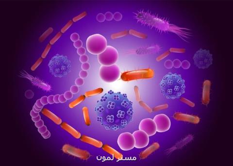 شاید درمان بیماری های خود ایمنی با كمك باكتری روده ممكن شود