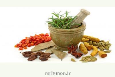 تدابیر طب سنتی در فصل زمستان