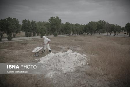 رشد صعودی مرگ و كرونا در بوشهر