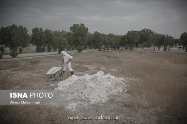 رشد صعودی مرگ و كرونا در بوشهر