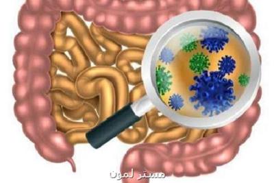 داروی كاهش كلسترول باعث بهبود میكروبیوم های روده می شود